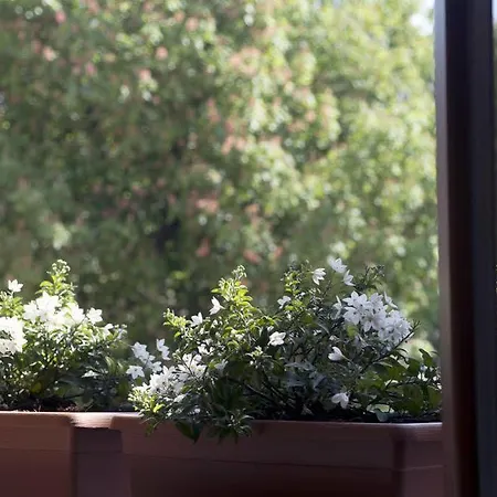 Bed & Breakfast Zen Ferrara